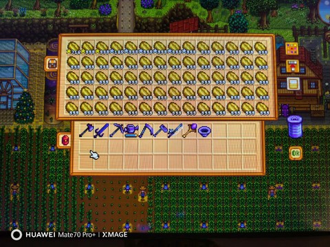 星露谷物语怎么出售[图2]