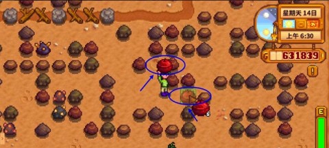 星露谷物语水井怎么[图2]