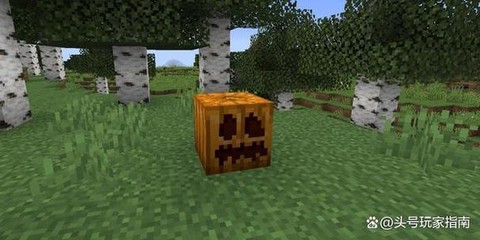 我的世界南瓜怎么得[图1]