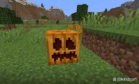 我的世界南瓜怎么得[图2]