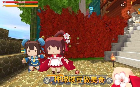 迷你世界球球豆怎么用