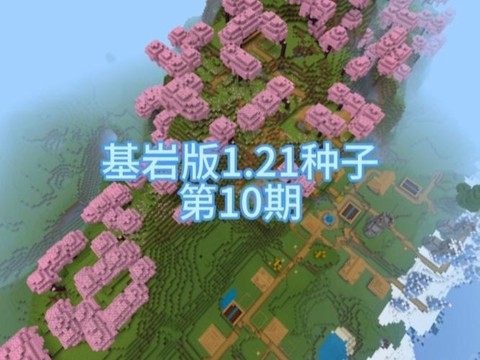 我的世界如何获得种子