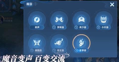 王者荣耀的声音怎么开[图2]