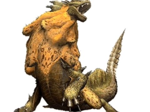 怪物猎人p3和3有什么区别[图1]